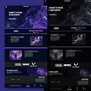portfolio-14 Sistemas de Gestión Personalizados