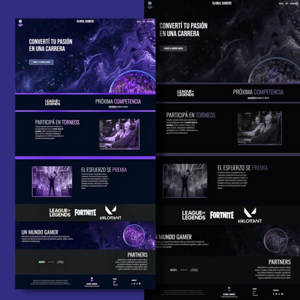 portfolio-14 Sistemas de Gestión Personalizados